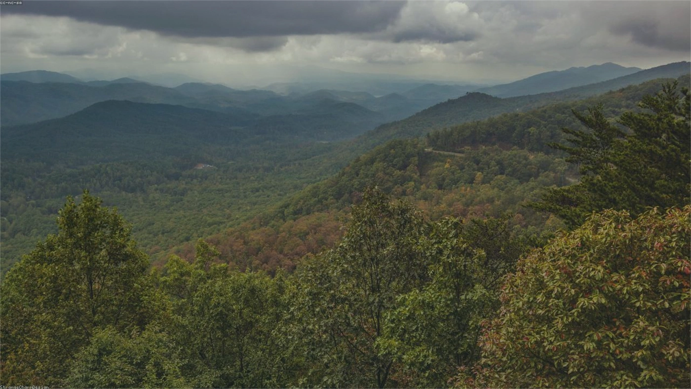 Tennessee Land Buyers: How to Compare Direct Cash Offers Tennessee land guide